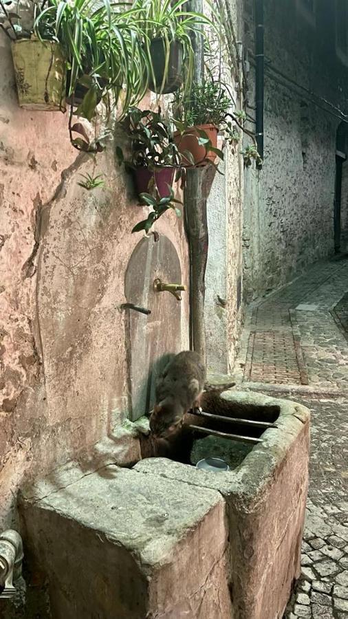 Le Petit Bijou Di Dolceacqua, Per Un Momento Romantico Exteriér fotografie